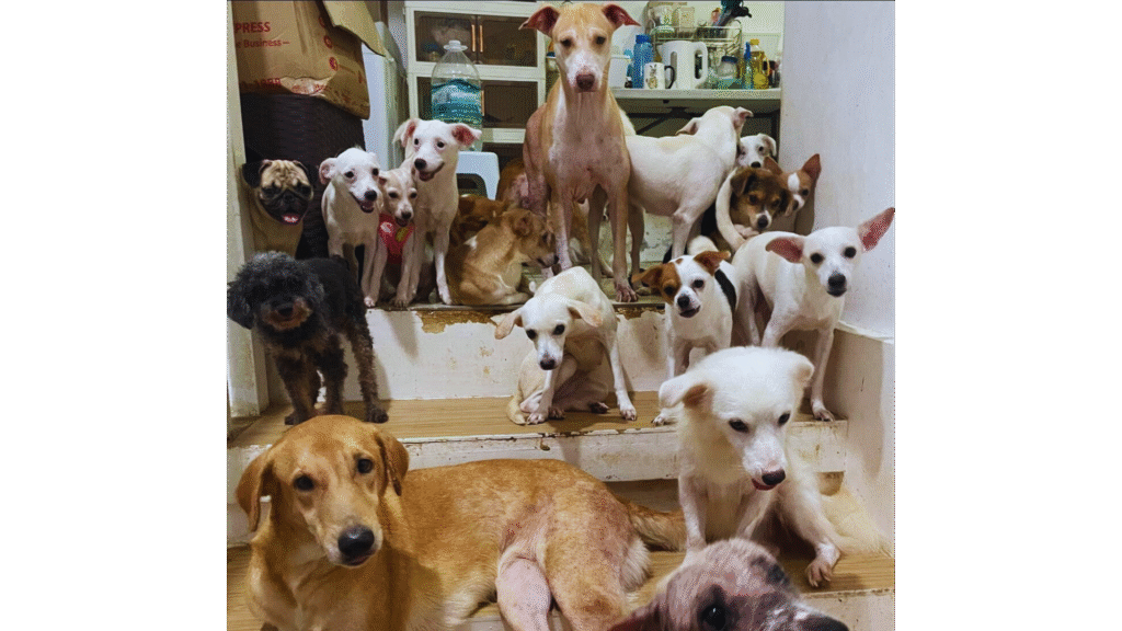 untitled design (11) untitled design (11)